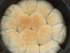 2009_1114ncow0037