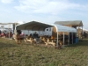 2009_1114ncow0045