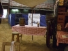 2011_0428TMGA0007