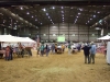 2011_0428TMGA0042